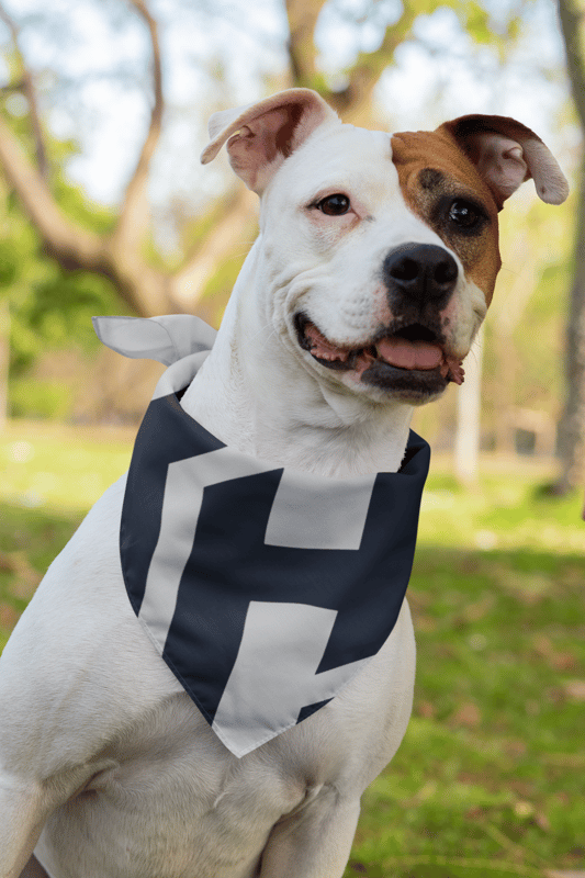 Fantastic Pet Scarf - image3